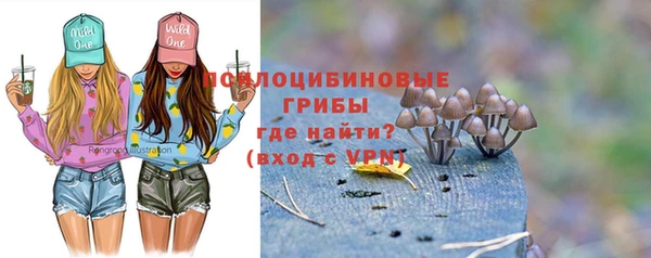 гашиш Богородицк