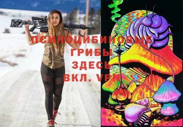 a pvp Богородск