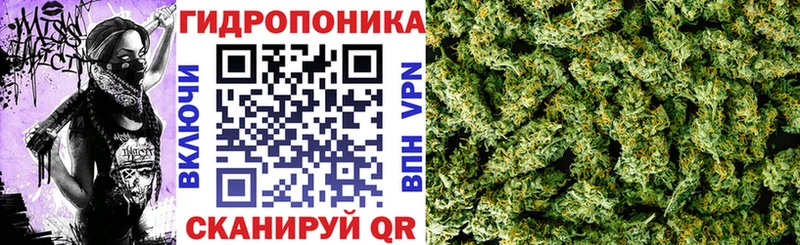 Конопля конопля  Дорогобуж 